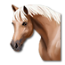 horse_73x73.png