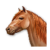 17_b_day_animal.png