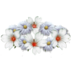 item_white_wreath.png