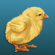 chick.png