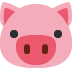 pig