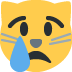 crying_cat_face