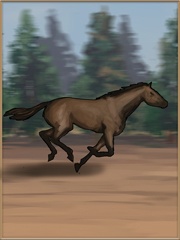 horse_04.jpg