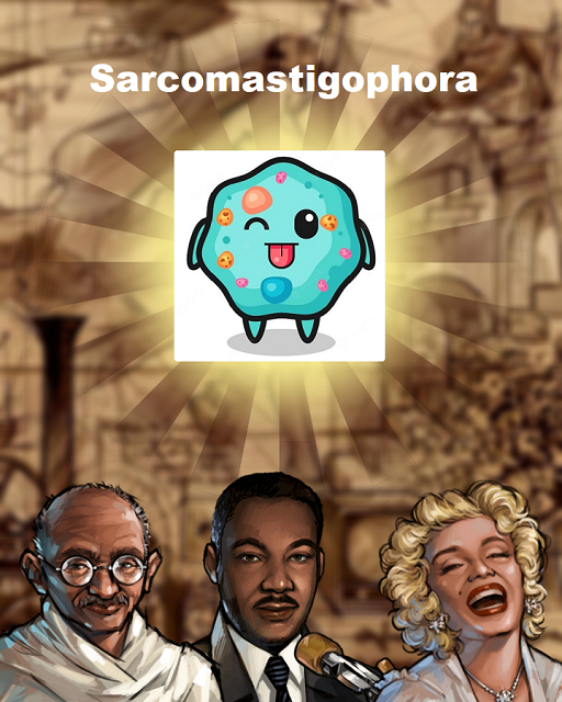 Sarcomastigophora.png