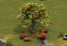 fall_appletree3.png