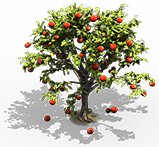 appletree_01.png