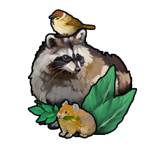 wild22-icon-racoon.png