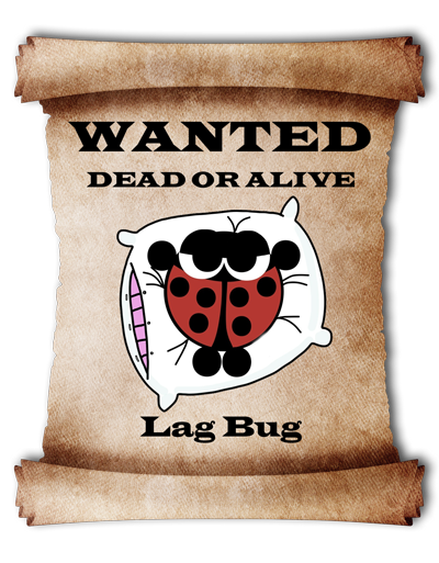 lag-bug.png