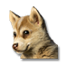 greenland-dog-puppy_small.png