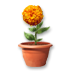 low_flower_container.png