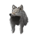 wolfman_hat_73.png