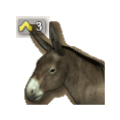 mirevagykivancsi.png