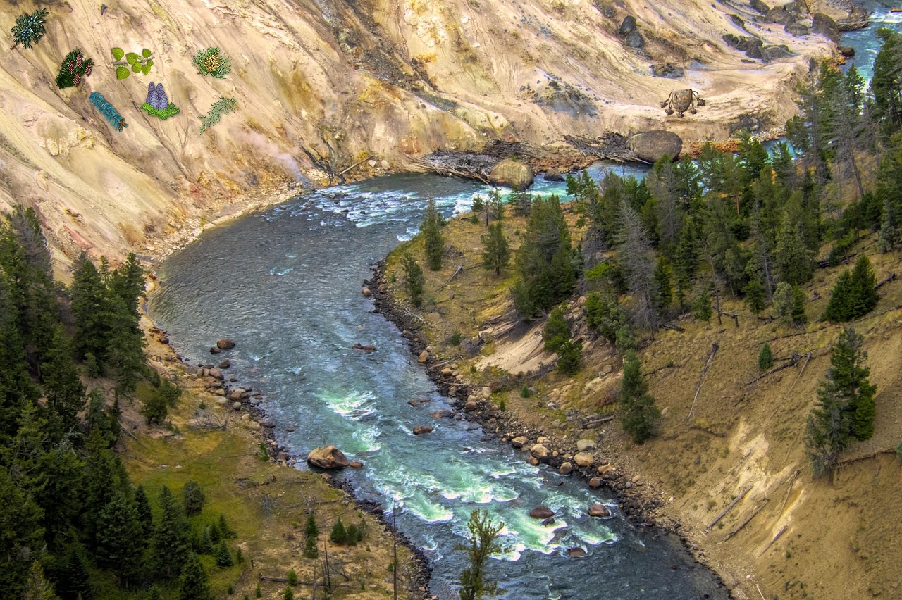 yellowstone.jpg