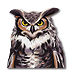 owl_73x73.png